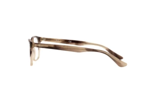 Side view Ray-Ban RX5375 (8107)