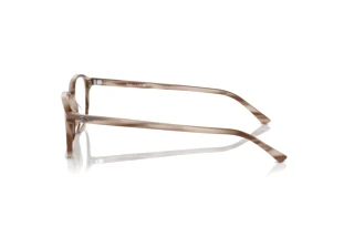 Side view Ray-Ban LEONARD (RX5393 - 8357)