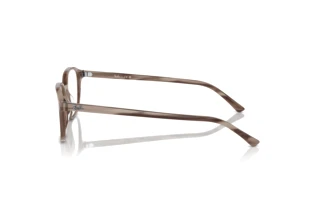 Side view Ray-Ban LEONARD (RX5393 - 8360)
