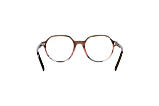 Rear view Ray-Ban THALIA (RX5395 - 8251)