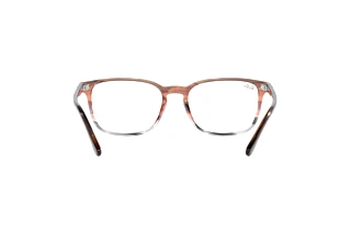 Rear view Ray-Ban RX5418 (8251)