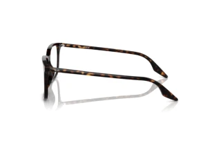 Side view Ray-Ban RX5421 (2012)