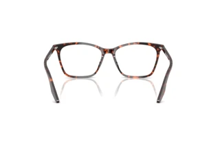 Rear view Ray-Ban RX5422 (8423)