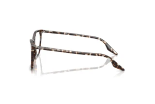 Side view Ray-Ban RX5422 (8425)