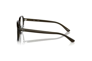 Side view Ray-Ban RX5424D (8218)
