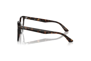 Side view Ray-Ban RX5425D (2012)