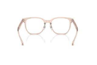 Rear view Ray-Ban RX5425D (8267)