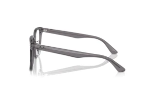 Side view Ray-Ban RX5425D (8268)