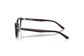 Side view Ray-Ban RX5427D (8290)