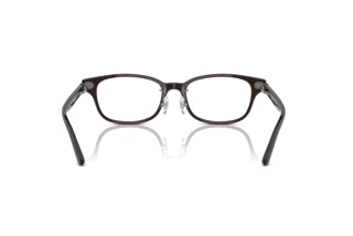 Rear view Ray-Ban RX5427D (8290)