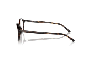 Side view Ray-Ban GERMAN (RX5429 - 2012)