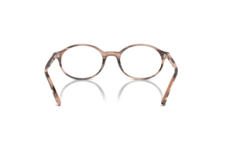 Rear view Ray-Ban GERMAN (RX5429 - 8358)