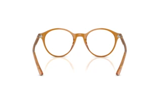 Rear view Ray-Ban BERNARD (RX5430 - 8439)