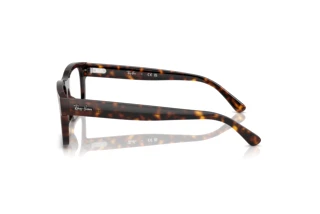 Side view Ray-Ban RX5435 (2012)