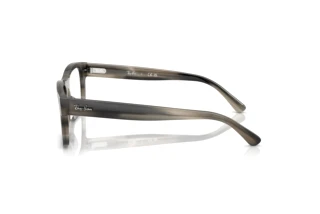 Side view Ray-Ban RX5435 (8404)