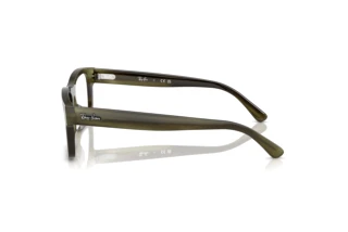 Side view Ray-Ban RX5435 (8405)