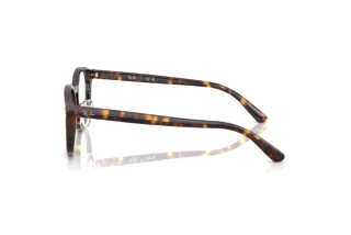 Side view Ray-Ban RX5443D (2012)