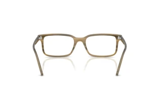 Rear view Ray-Ban RX5445 (8454)