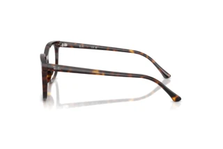 Side view Ray-Ban RX5446 (2012)