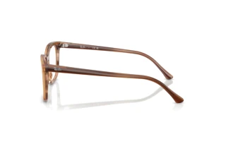 Side view Ray-Ban RX5446 (8455)