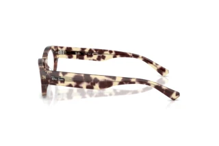 Side view Ray-Ban RX5447 (8459)