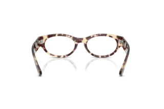 Rear view Ray-Ban RX5447 (8459)