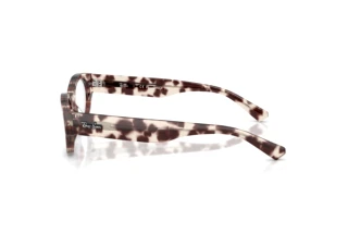 Side view Ray-Ban RX5447 (8461)