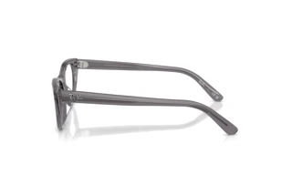 Side view Ray-Ban RX5449D (8268)