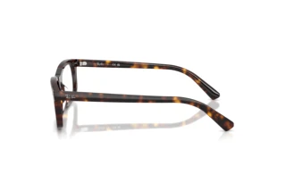 Side view Ray-Ban RX5450 (2012)