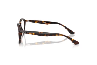Side view Ray-Ban RX5451 (2012)