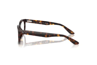 Side view Ray-Ban BALORETTE (RX5489 - 2012)