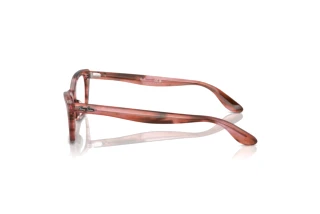 Side view Ray-Ban LADY BURBANK (RX5499 - 8363)