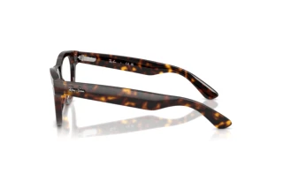 Side view Ray-Ban RX5510 (2012)
