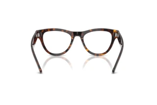 Rear view Ray-Ban RX5510 (2012)