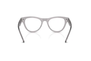Rear view Ray-Ban RX5510 (2102)