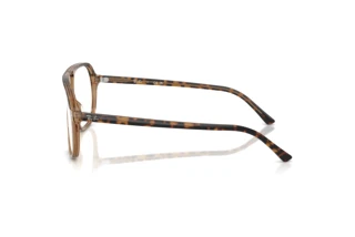 Side view Ray-Ban RX5698 (8109)