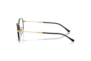 Side view Ray-Ban RX6496 (3175)