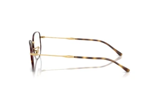 Side view Ray-Ban RX6496 (3177)