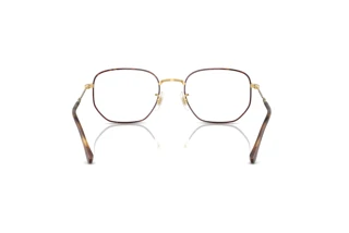 Rear view Ray-Ban RX6496 (3177)