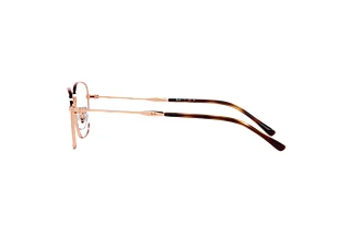 Side view Ray-Ban RX6497 (3094)
