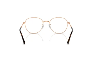 Rear view Ray-Ban RX6509 (3094)