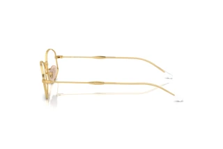 Side view Ray-Ban RX6510 (2500)