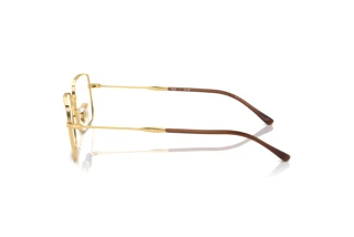 Side view Ray-Ban RX6520 (2500)