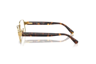 Side view Ray-Ban RX6529 (2500)