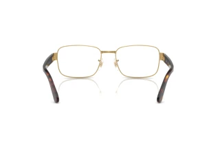 Rear view Ray-Ban RX6529 (2500)