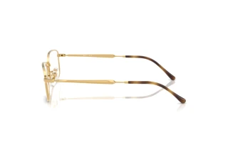 Side view Ray-Ban RX6533 (2500)
