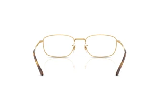 Rear view Ray-Ban RX6533 (2500)