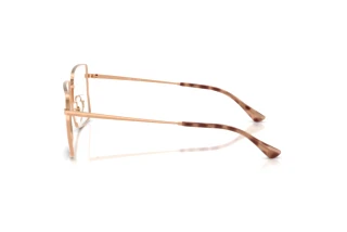 Side view Ray-Ban RX6553 (3094)