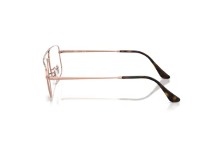 Side view Ray-Ban RX6579 (RX6579 - 2943)