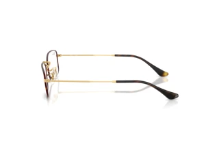 Side view Ray-Ban RX6647 (3177)